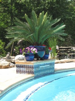 Outdoor Fake Palm Trees Sago Palm Pool Area